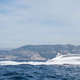 Illustration for article titled Forget That Aston Martin Boat, You Want The Mercedes-Benz Yacht